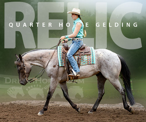 Horse ID: 2299455 Relic