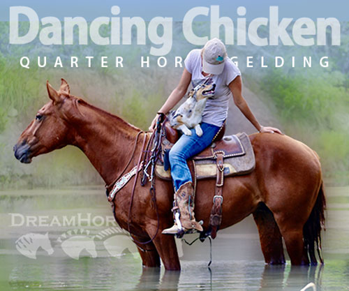 Horse ID: 2299856 Dancing Chicken
