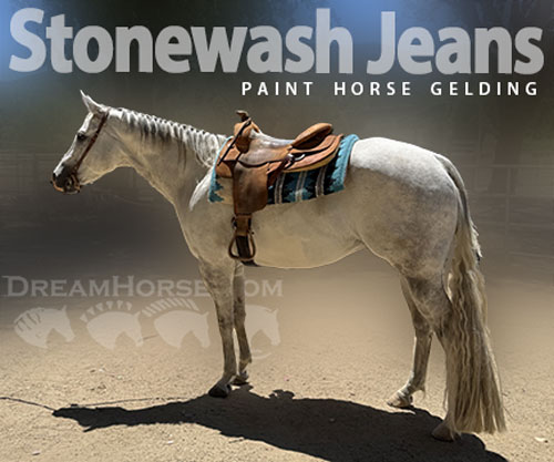 Horse ID: 2299946 Stonewash Jeans