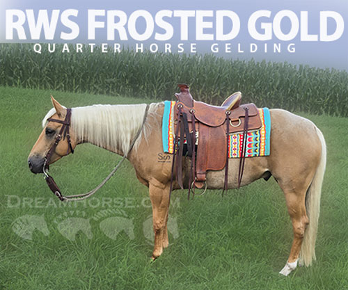 Horse ID: 2300048 RWS FROSTED GOLD