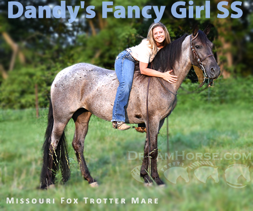 Horse ID: 2300737 Dandy's Fancy Girl SS