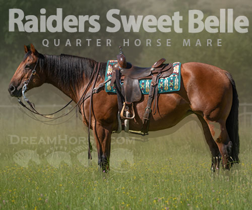 Horse ID: 2300842 Raiders Sweet Belle