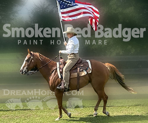Horse ID: 2301620 Smoken Red Badger