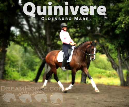 Horse ID: 2301992 Quinivere