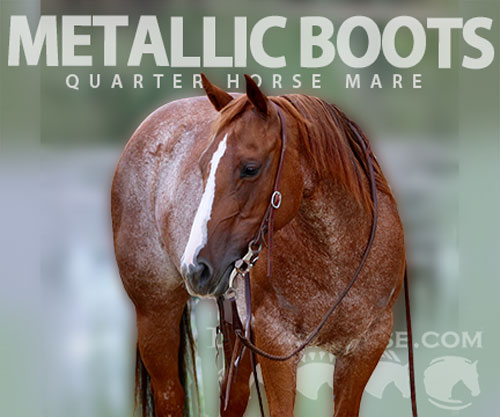 Horse ID: 2302443 METALLIC BOOTS