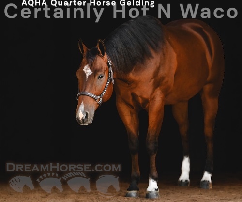 Horse ID: 2302634 Certainly Hot N Waco