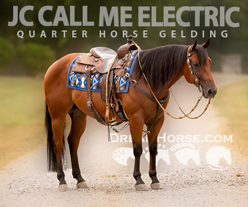 Horse ID: 2302677 JC CALL ME ELECTRIC