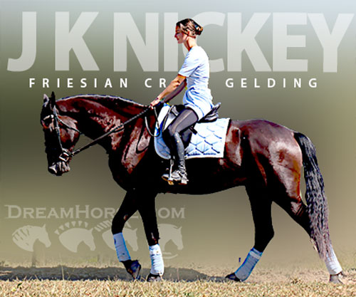 Horse ID: 2302809 J K Nickey