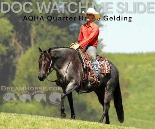 Horse ID: 2302829 DOC WATCH ME SLIDE