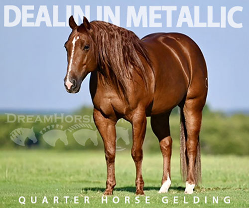 Horse ID: 2302942 DEALIN IN METALLIC