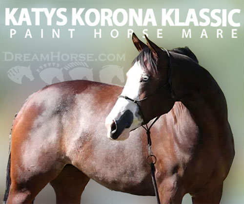 Horse ID: 2303006 KATYS KORONA KLASSIC (name change pending)