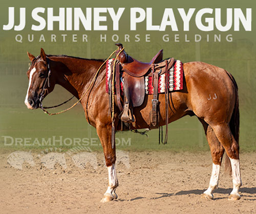 Horse ID: 2303628 JJ Shiney Playgun