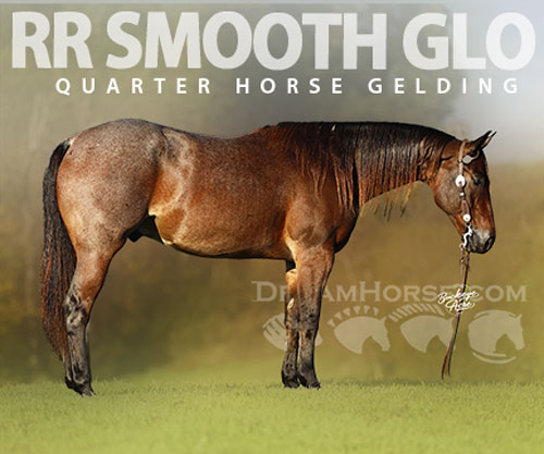 Horse ID: 2304198 RR Smooth Glo