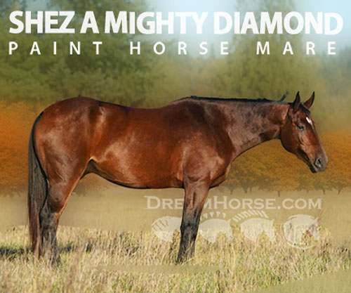 Horse ID: 2304897 SHEZ A MIGHTY DIAMOND