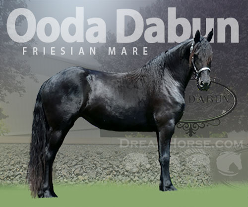 Horse ID: 2304899 Ooda Dabun