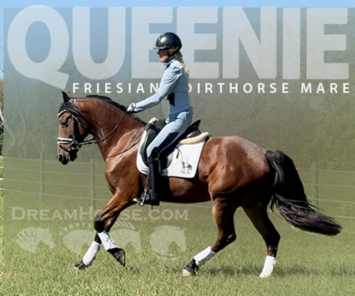 Horse ID: 2305090 Queenie