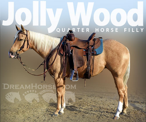 Horse ID: 2305222 Jolly Wood
