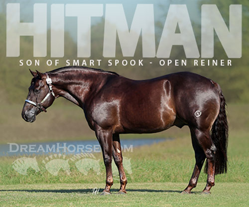 Horse ID: 2305570 Son Of Smart Spook Fininshed L4 Open Reiner