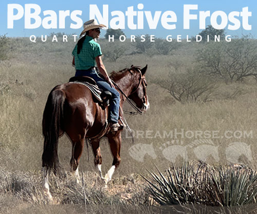 Horse ID: 2306136 PBars Native Frost