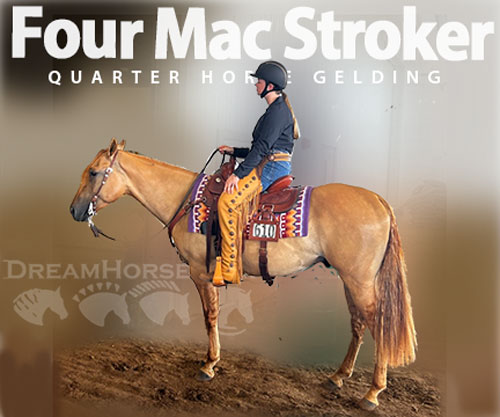 Horse ID: 2306252 Four Mac Stroker
