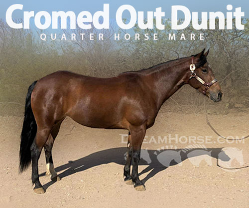 Horse ID: 2307449 Cromed Out Dunit