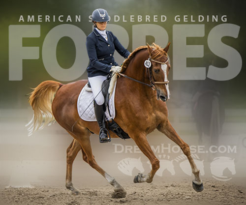 Horse ID: 2307660 Forbes