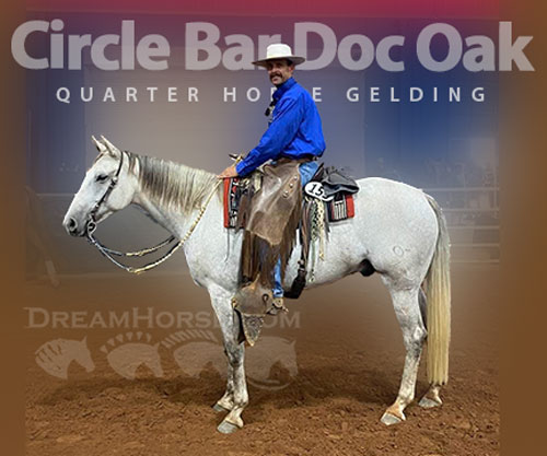 Horse ID: 2308324 Circle Bar Doc Oak