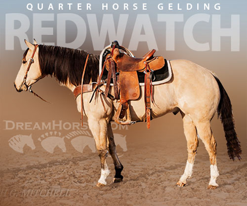 Horse ID: 2309323 REDWATCH