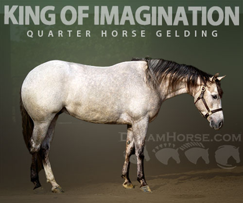 Horse ID: 2309325 KING OF IMAGINATION