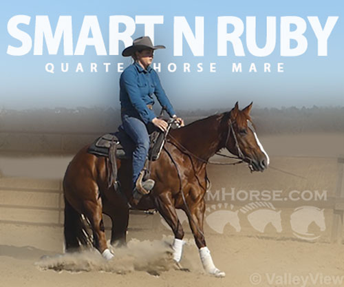 Horse ID: 2309981 Smart N Ruby