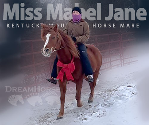 Horse ID: 2310843 Miss Mabel Jane