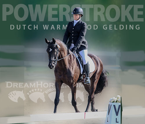 Horse ID: 2315916 Powerstroke
