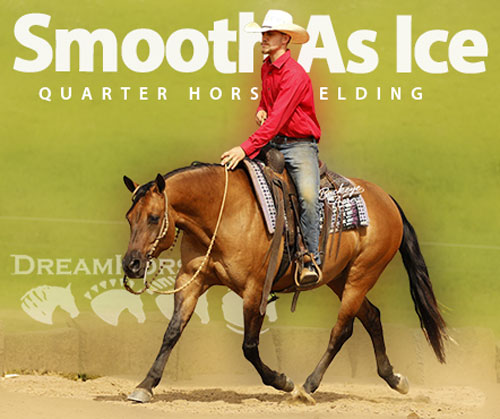 Horse ID: 2320397 Smooth As Ice