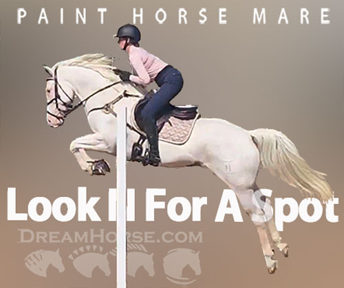 Horse ID: 2321097 Look N For A Spot