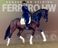 2313249