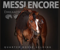Spotlight Thumbnail