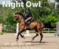 Spotlight Thumbnail