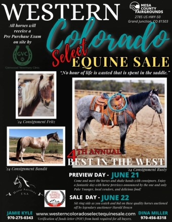 Tack ID: 568407 2024 Western Colorado Select Equine Sale - PhotoID: 152897 - Expires 08-Jul-2024 Days Left: 55