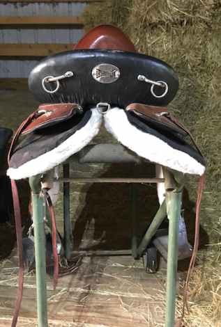 Tack ID: 570082 Ortho-Flex Trail Saddle - PhotoID: 155140 - Expires 29-Dec-2025 Days Left: 24