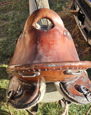 Tack ID: 570120 16 Annie George Endurance Saddle - PhotoID: 155187 - Expires 17-Jan-2026 Days Left: 34