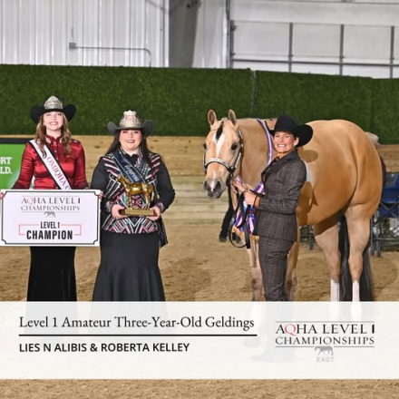 Tack ID: 570147 HORSE TREADMILL - LIKE NEW! - PhotoID: 155228 - Expires 27-Apr-2026 Days Left: 143