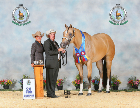 Tack ID: 570147 HORSE TREADMILL - LIKE NEW! - PhotoID: 155229 - Expires 27-Apr-2026 Days Left: 143