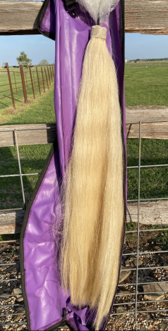 Tack ID: 570170 Palomino Tail Extension - PhotoID: 155263 - Expires 08-Feb-2026 Days Left: 65
