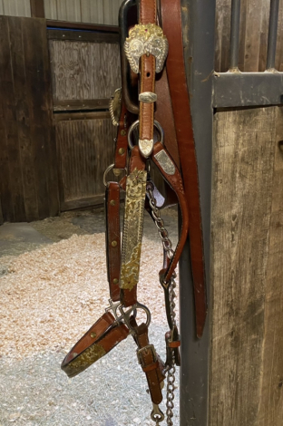 Tack ID: 570170 Palomino Tail Extension - PhotoID: 155265 - Expires 08-Feb-2026 Days Left: 65