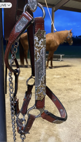 Tack ID: 570170 Palomino Tail Extension - PhotoID: 155266 - Expires 08-Feb-2026 Days Left: 65