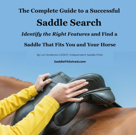 Tack ID: 570241 The Complete Guide to a Successful Saddle Search - PhotoID: 155395 - Expires 12-Apr-2026 Days Left: 67