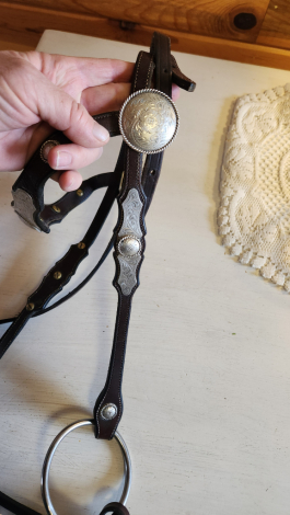 Tack ID: 570298 Custom silver headstall, romel reins, and breastcollar - PhotoID: 155379 - Expires 09-Apr-2026 Days Left: 65