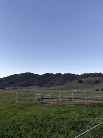 Tack ID: 570318 A Private, Tranquil Ranch for Your Horse | Gilroy, CA - PhotoID: 155436 - Expires 17-Nov-2026 Days Left: 59
