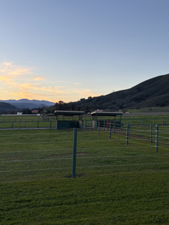 Tack ID: 570318 A Private, Tranquil Ranch for Your Horse | Gilroy, CA - PhotoID: 155437 - Expires 17-Nov-2026 Days Left: 59