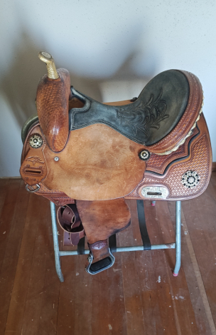 Tack ID: 570342 Team Steinhoff custom - PhotoID: 155458 - Expires 07-May-2026 Days Left: 90